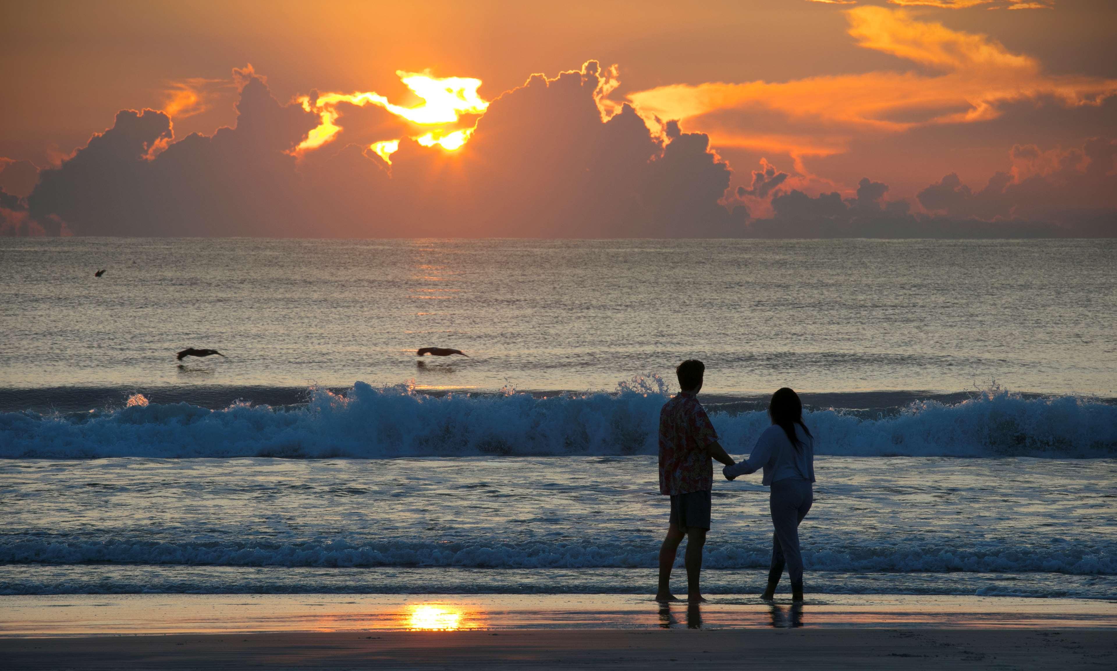 Hilton Daytona Beach Resort (Adults Only) Exterior foto